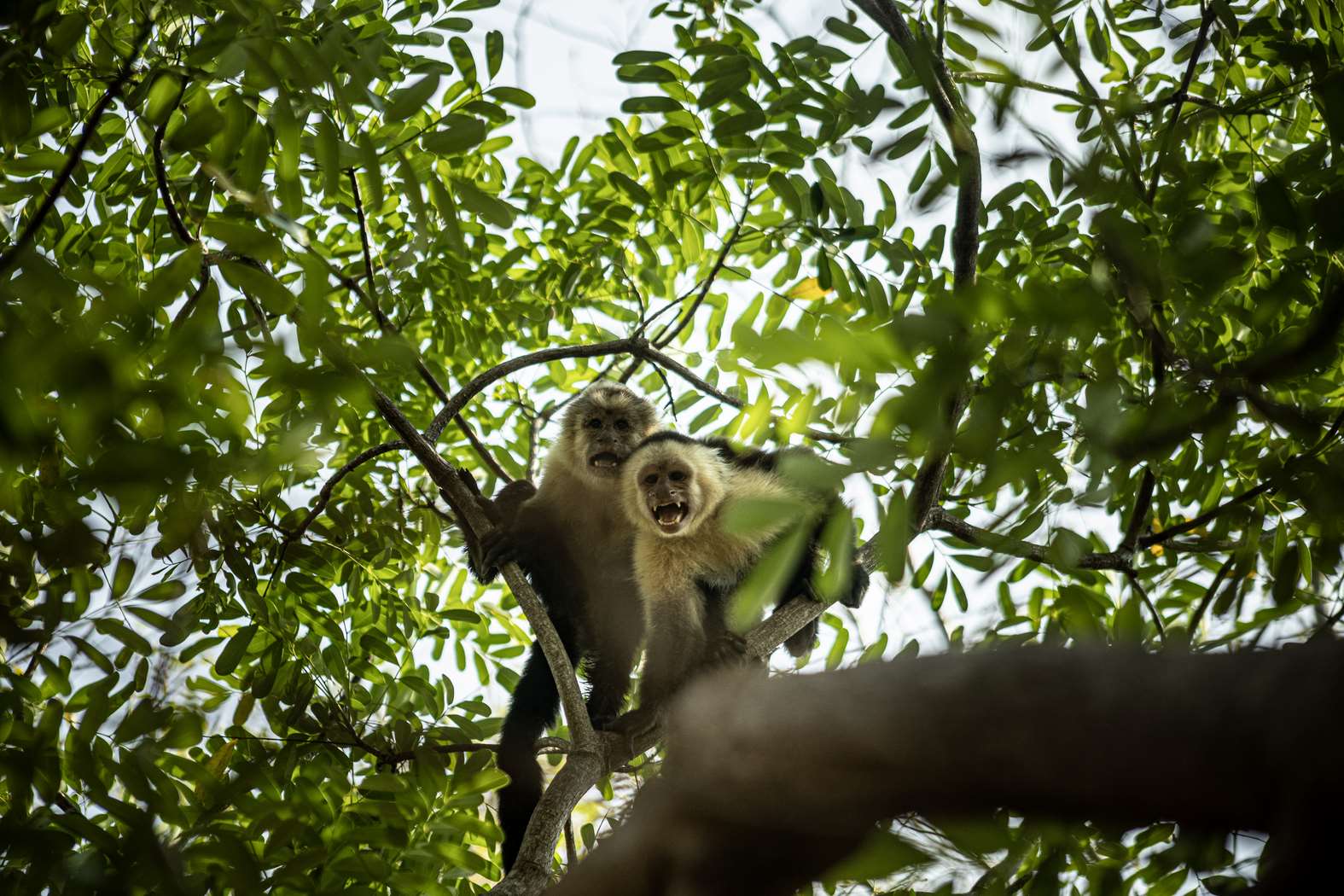 Un legado natural en cada rincón de Puesta Sol Ranch